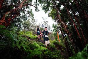 BIB: 
                            <button type="button" onclick="openModal(26202443)" class="btn btn-primary btn-sm float-right btn-popup" data-toggle="modal" data-target=".modal-high-quality">
                        <i class="fas fa-shopping-cart"></i> Add to Cart
                    </button>
                                            <button type="button" onclick="isThisMe(26202443, true)" class="btn btn-success btn-sm float-right btn-popup btn-isme hidden" data-toggle="tooltip" data-placement="bottom" title="นี่คือรูปของคุณใช่ไหม คลิกที่นี่เพื่อเอาเข้าอัลบั้ม">
                        <i class="fas fa-plus"></i> Add to album
                    </button>
                    <button type="button" onclick="isThisMe(26202443, false)" class="btn btn-warning btn-sm float-right btn-popup btn-isnotme hidden">
                        <i class="fas fa-ban"></i> Remove from album
                    </button>